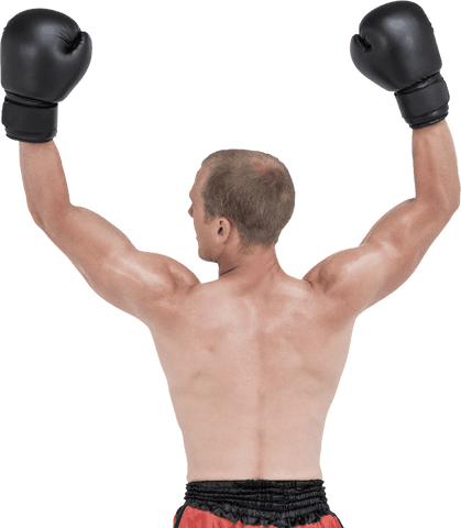 Male Boxer Celebrating Victory Transparent Background Concept - Download Free Stock Videos Pikwizard.com