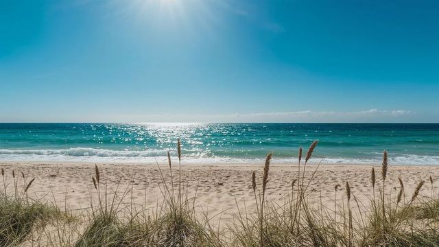 Tranquil sandy shoreline with vibrant turquoise waves and coastal dune grass