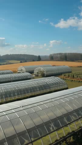 Drone ascending guiding vertical video over glass greenhouses and golden crop fields