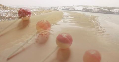 Sandy reflections with lollipop silhouettes coastal winter marvel