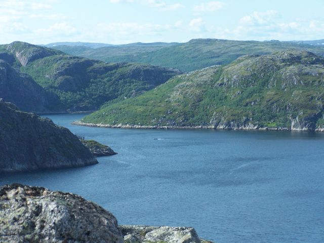 Serene view of a fjord surrounded by rocky hills with calm blue water and lush greenery under clear blue skies. Ideal for promoting nature retreats, travel destinations, or blogs about hiking adventures and exploring scenic wilderness landscapes.