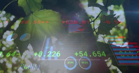 Sustainable Analytics: Leaf Canopy Blending with Digital Dashboards and Growth Metrics