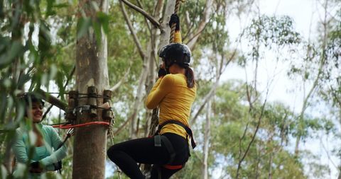 Adventurous Young Woman Climbing in Forest Ropes Course - Download Free Stock Images Pikwizard.com