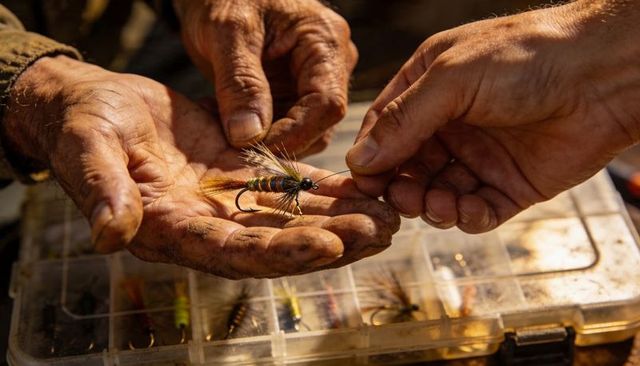 Holding and inspecting hand-tied fly by weathered hands over tackle box for fly fishing