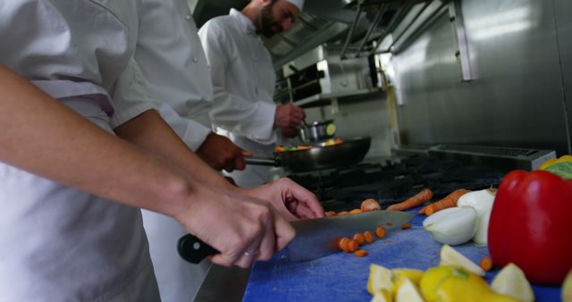 Professional Chefs Preparing Vibrant Vegetable Dishes in Commercial Kitchen - Download Free Stock Images Pikwizard.com