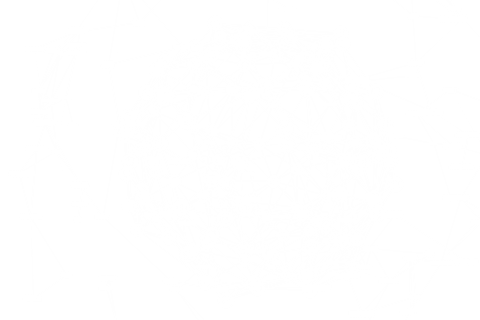 Intricate Network of Connections on Transparent Background - Download Free Stock Videos Pikwizard.com