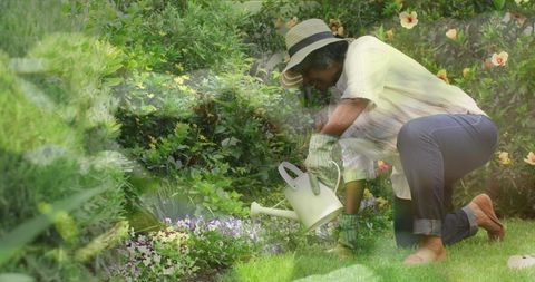 Dedicated Senior Woman Watering Garden Flowers