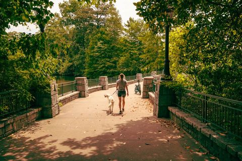 Woman Walking Dog on Scenic Park Bridge in Summer