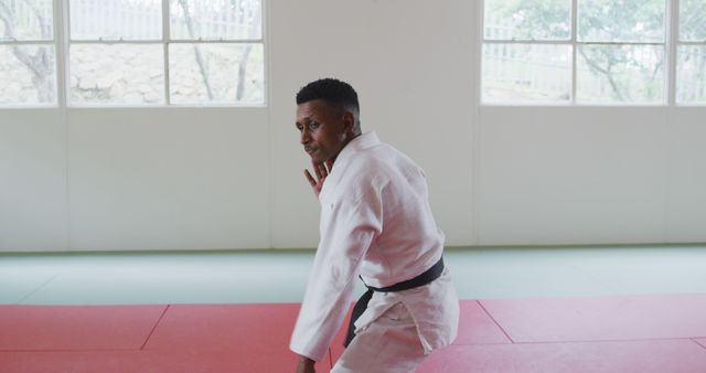 Confident Martial Artist Posing in Dojo - Download Free Stock Images Pikwizard.com