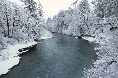 Serene Snow-Covered River Flowing Through Frosted Evergreen Forest Winter Landscape