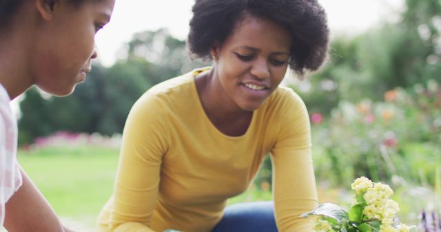 Two Women Gardening Together in Flower Bed - Download Free Stock Images Pikwizard.com