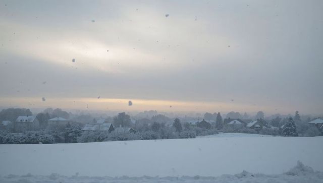 Snow-Covered Village at Dawn with Falling Snowflakes over Open Field and Pastel Sky