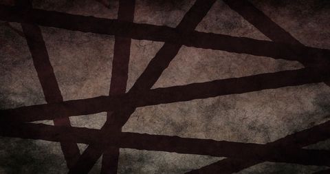 Abstract Mesh of Crisscross Black Lines Digital Art