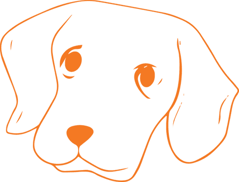 minimalist transparent puppy head outline illustration for design - Download Free Stock Videos Pikwizard.com