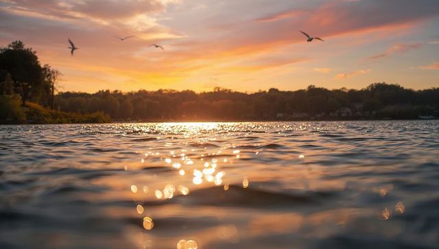 Glittering lake surface at golden hour with flying gulls and shoreline silhouettes