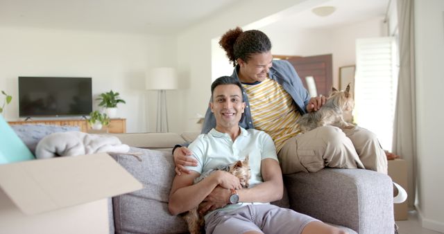 Happy Couple Enjoying Time at Home with Dogs in Living Room - Download Free Stock Images Pikwizard.com