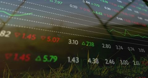 Stock Market Data Blending with Nature in Vibrant Outdoor Scene