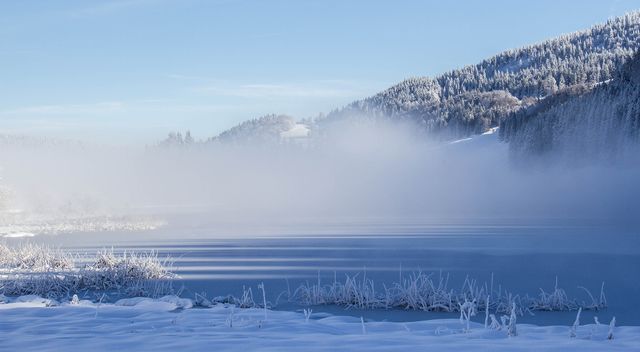 Foggy Winter Landscape with Snow-Covered Forests and Frozen Lake - Download Free Stock Photos Pikwizard.com