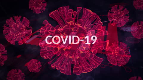 Visualization of COVID-19 Virus Cells with Digital Data Elements