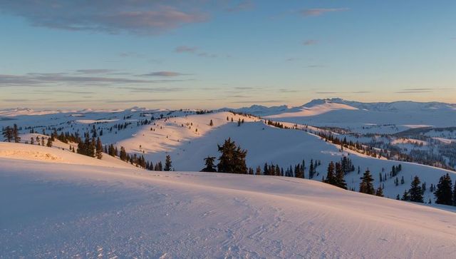 Sunrise Lighting Snow-Covered Ridges on Alpine Plateau with Evergreen Trees and Tracks
