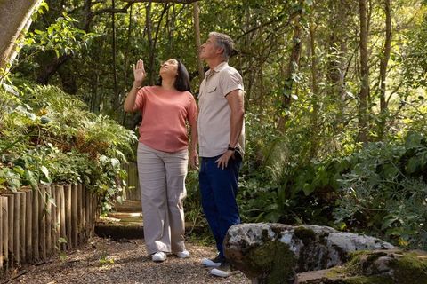 Diverse senior couple walking and pointing on shaded garden path under woodland canopy, mossy rock