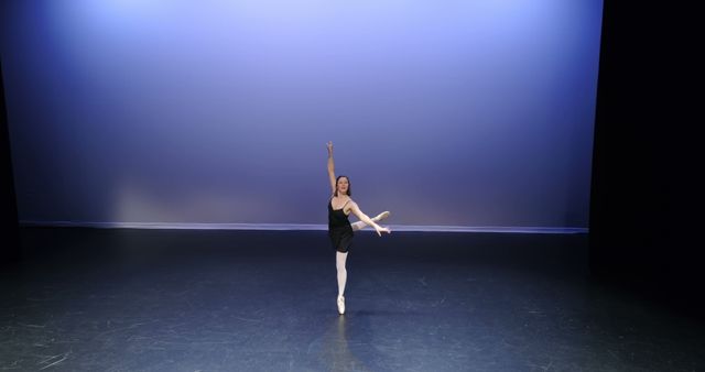 Ballet dancer in a stable arabesque pose occupies center stage. Dancer wears black leotard and white tights with elegant backdrop under spotlight. Image ideal for use in promotional materials for dance recitals, advertisements for ballet schools, art posters, and brochures showcasing performing arts. Captures essence of discipline, dedication, and elegance associated with ballet.