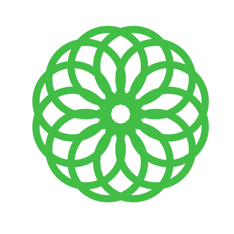 Intricate Green Floral Pattern on Transparent Background - Download Free Stock Videos Pikwizard.com