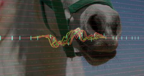 Horse Muzzle with Financial Chart Overlay Indicating Market Growth