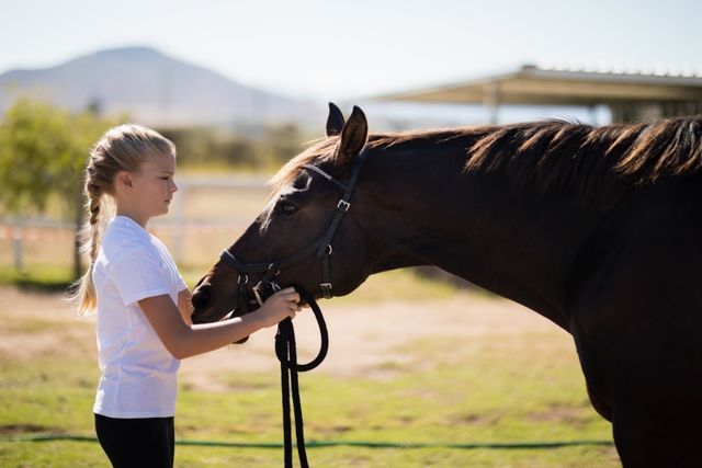 Girl adjusting the muzzle of the horse in the ranch on a sunny day