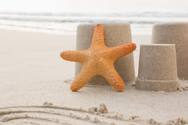 Starfish resting against sand castles on a tropical beach with ocean waves in the background. Ideal for travel brochures, summer vacation promotions, beach-themed decor, and marine life educational materials.