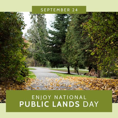 Celebrating National Public Lands Day in Serene Forest Path - Download Free Stock Templates Pikwizard.com
