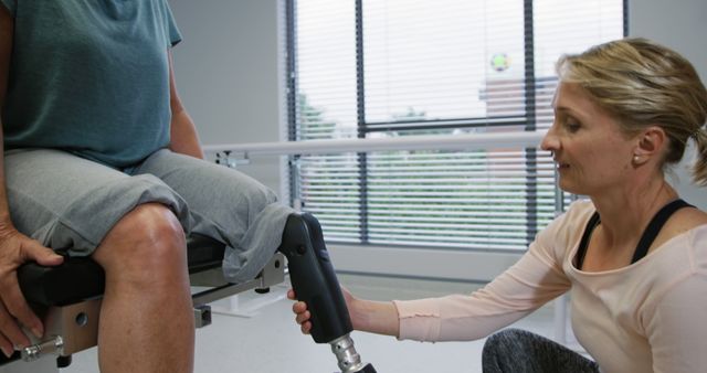 Physical Therapist Fitting Prosthetic Leg for Patient in Clinic - Download Free Stock Images Pikwizard.com