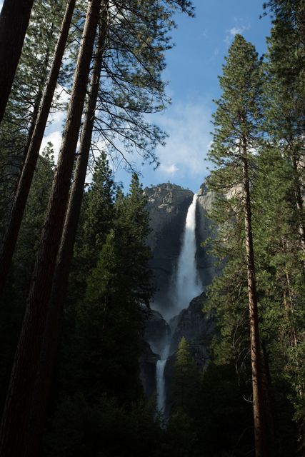 Towering waterfall cascades through lush pine tree forest under blue sky. Ideal for travel brochures, nature guidebooks, desktop wallpapers, mindfulness and relaxation materials.