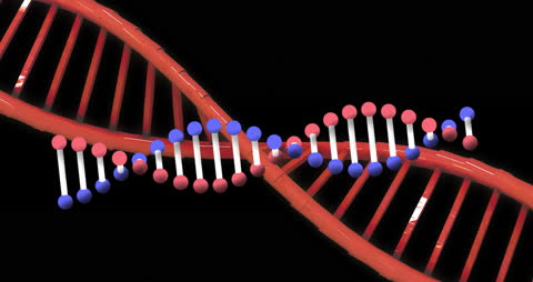 3D DNA Strand Illustration on Black Background