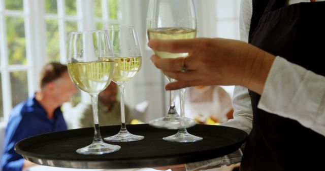 Server Carrying Tray of White Wine Glasses in Restaurant - Download Free Stock Images Pikwizard.com