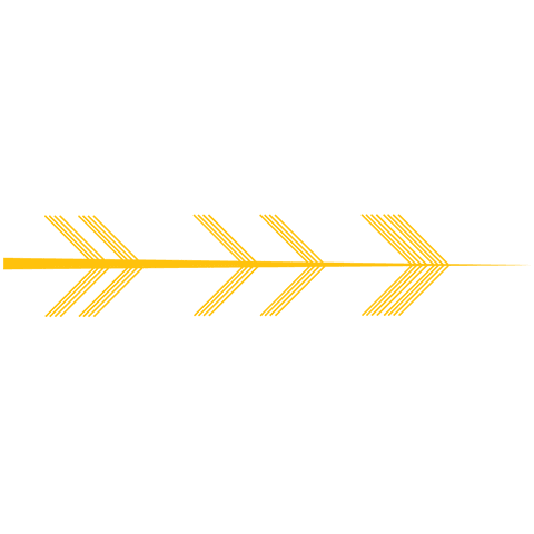 yellow vector arrow on transparent background isolated png - Download Free Stock Videos Pikwizard.com