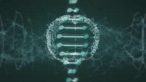 Dynamic DNA Helix and Digital Brain Concept