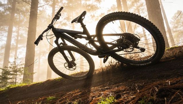Backlit full-suspension mountain bike leaning on misty pine trail sunrise glow