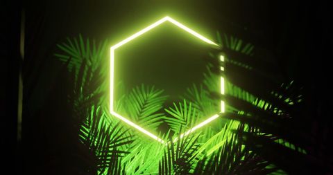 Illuminated neon hexagon with tropical leaves in darkness