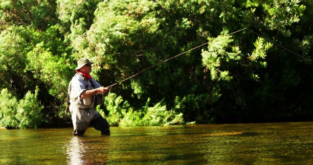 Angler Fly Fishing in Serene Forest Stream - Download Free Stock Images Pikwizard.com