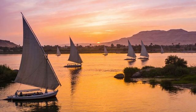 Golden sunset feluccas sailing nile river with silhouetted sails and palm-lined shore