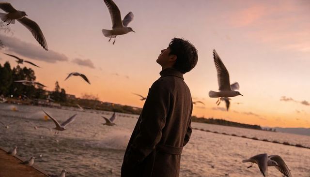 Watching man gazing at sunset while seagulls soaring over waterfront promenade and pier