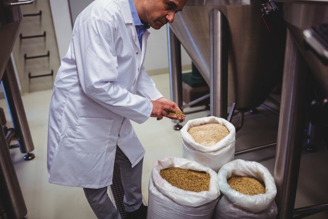 Manufacturer in white coat examining barley grains from sacks near storage tanks at brewery. Ideal for illustrating brewing process, quality control in food production, industrial settings, and manufacturing environments.