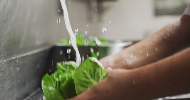 Close up of caucasian female chef washing vegetables in restaurant kitchen. working in a busy restaurant kitchen.
