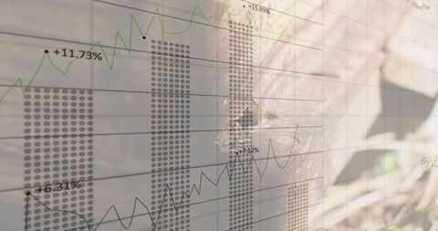 Honeybees overlaid with financial and statistical data representation