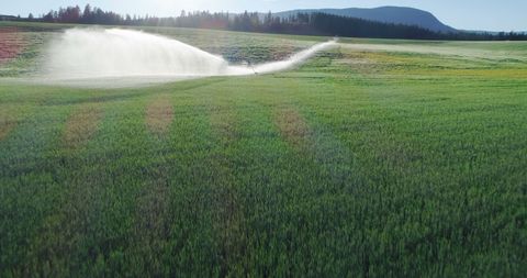 Precision Irrigation on Lush Green Farm Field at Dawn - Download Free Stock Images Pikwizard.com