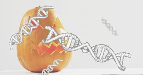 Blending halloween and genetics: jack-o'-lantern surrounded by floating dna helices