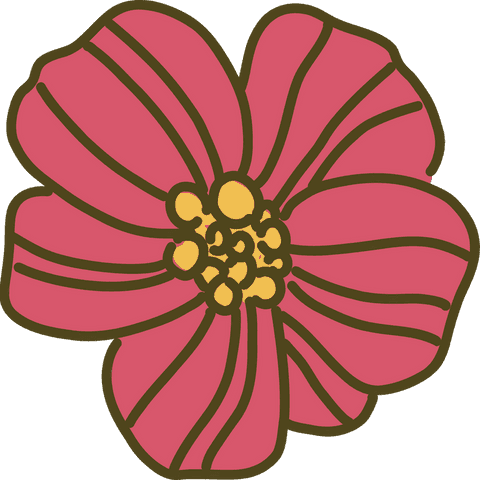cartoon pink flower bloom transparent icon flat style - Download Free Stock Videos Pikwizard.com