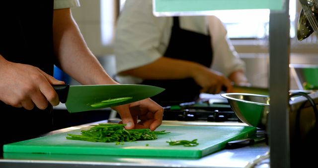 Chopping Vegetables in Commercial Kitchen - Download Free Stock Images Pikwizard.com