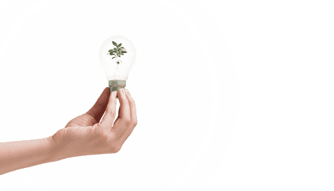 Transparent hand holding eco-friendly light bulb with plant inside